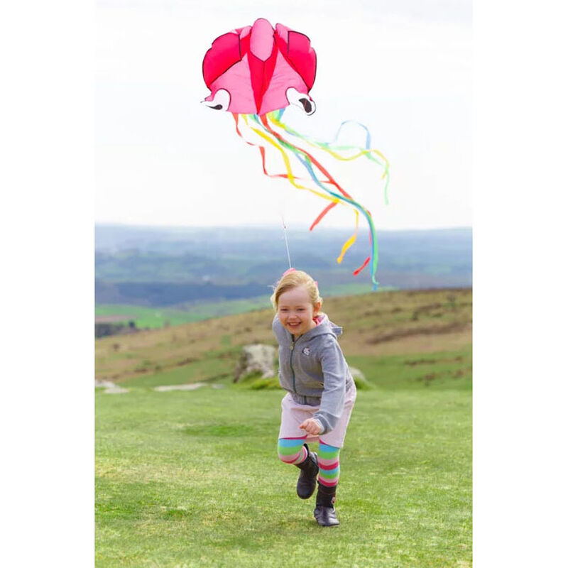 House of Marbles Octopus Kite - Assorted Colours image number 3