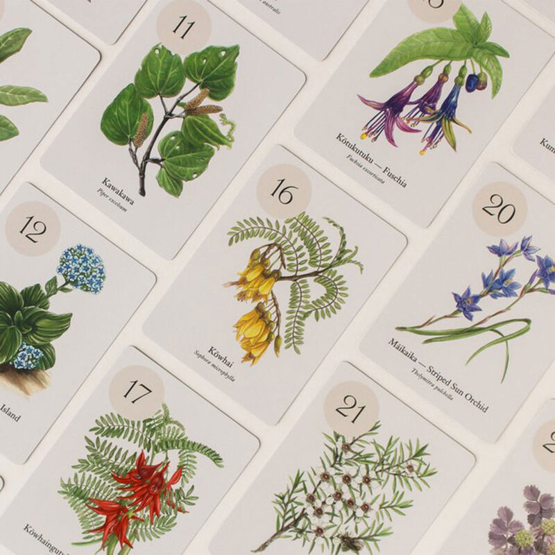 Connor Collection Botanical Bingo image number 2