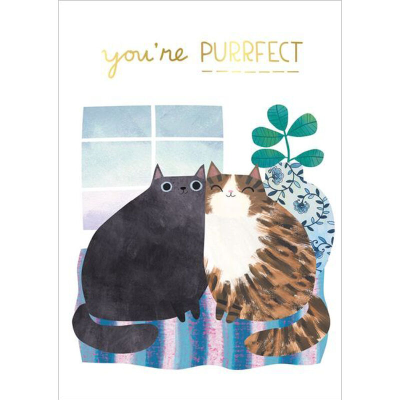 You're Perfect Cats Foil Card image number 0
