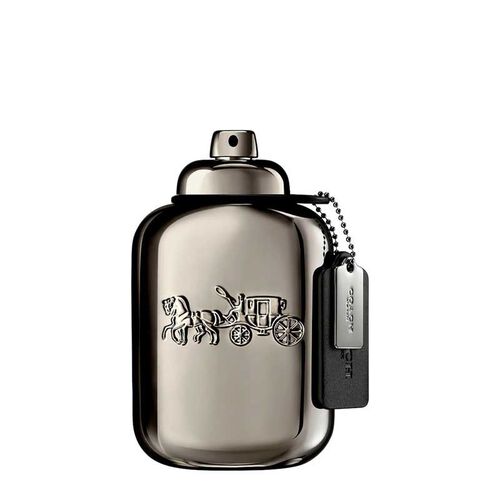 Coach Pure Platinum Parfum 100ml