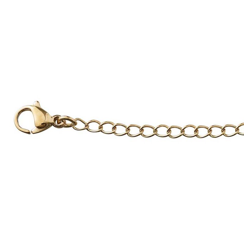 Edblad Extension Chain 5cm M Gold image number 1