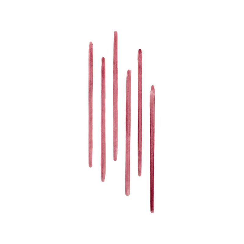 Bobbi Brown Lip Tint Liner image number 13