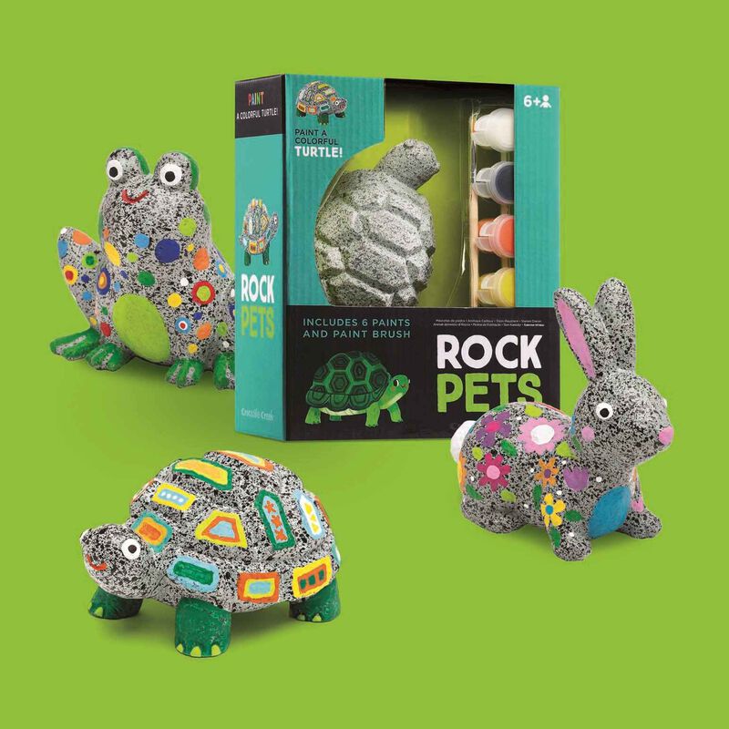 Crocodile Creek Creative - Rock Pets: Frog image number 1