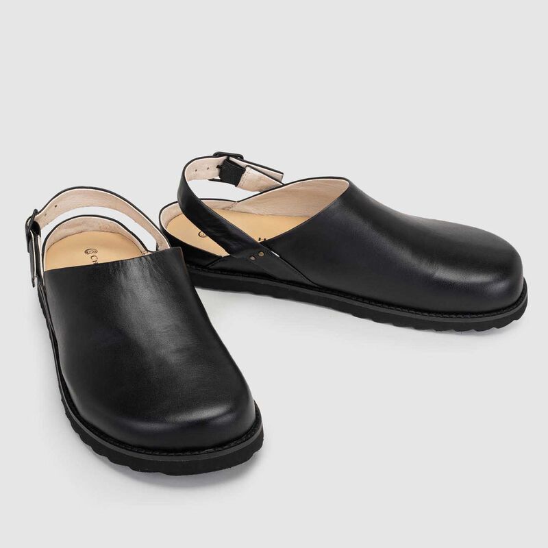 Chaos & Harmony Orbit Mule image number 1