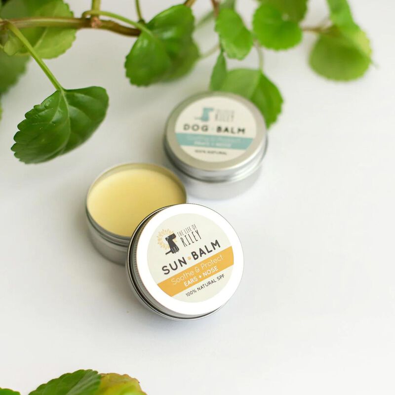 Life of Riley Sun Balm image number 1