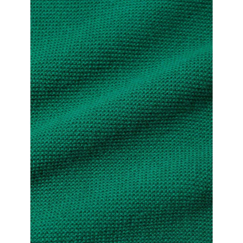 Seasalt Cornwall Fruity Jumper II Glade image number 3