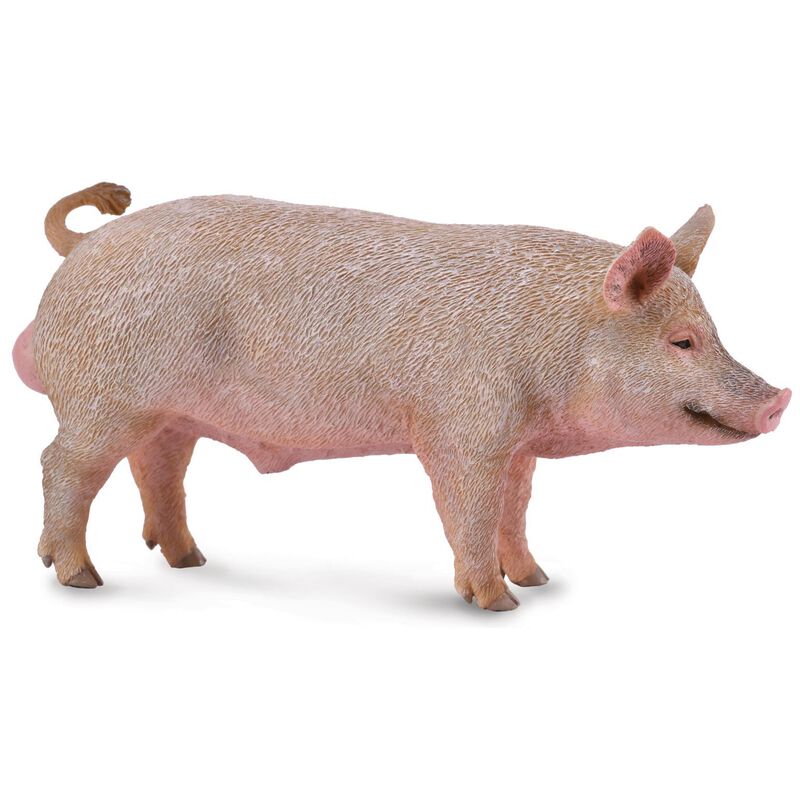 Collecta Boar Figurine M image number 0