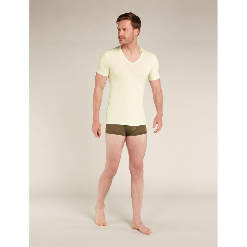 Icebreaker Mens Anatomica SS V image number 3