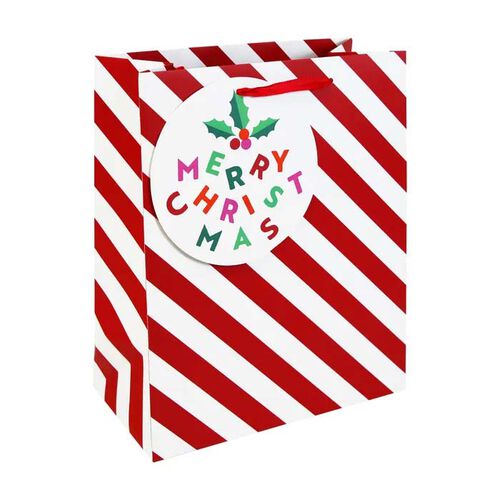 Paperie Eurowrap Candy Cane Large Gift Bag