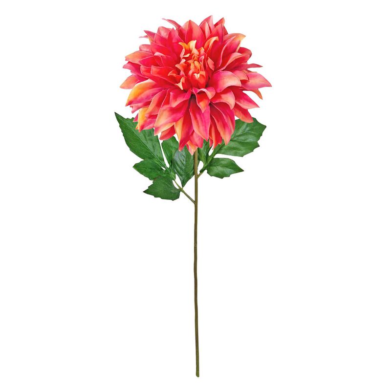 Alison's Acquisitions Caf&eacute; Au Lait Dahlia Coral image number 0