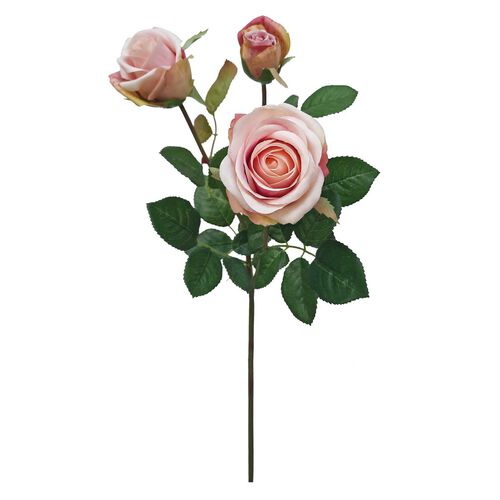 Alison's Acquisitions Abbey Rose Pink