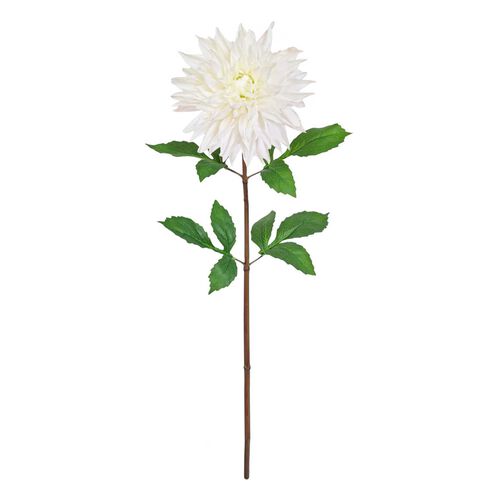 Alison's Acquisitions Tall Dahlia White