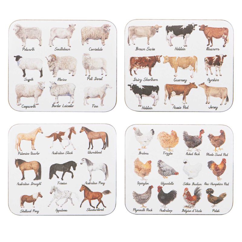 Ashdene Best In Breed 4Pk Assorted Coaster image number 0