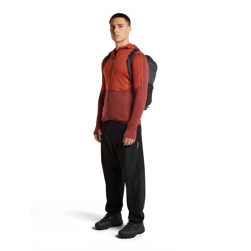 Icebreaker M Merino 200 RealFleece Descender LS Zip Hoodie image number 3