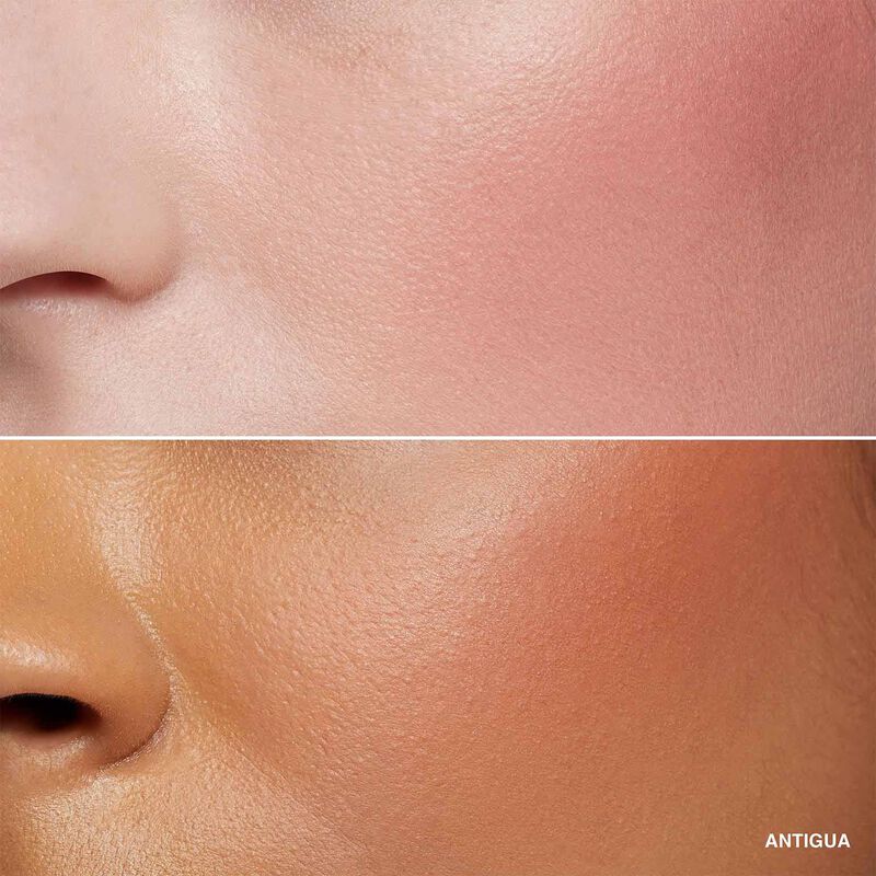 Bobbi Brown Powder Blush image number 19
