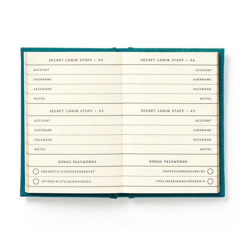 Brass Monkey Definitely Not My Passwords - A Tiny Password Diary image number 2