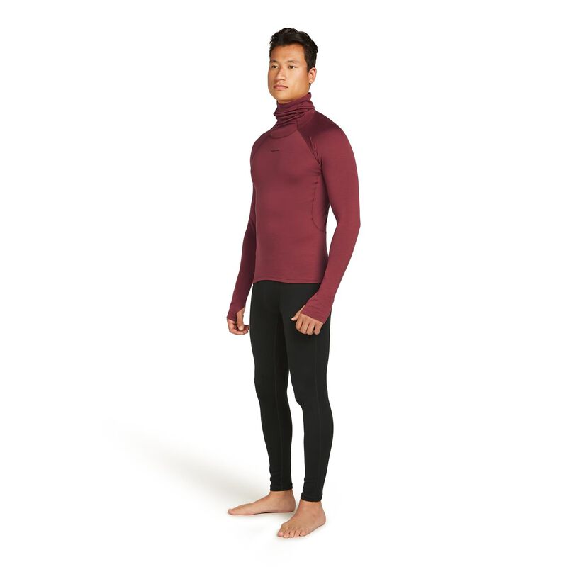 Icebreaker M 300 MerinoFine Polar Leggings image number 3