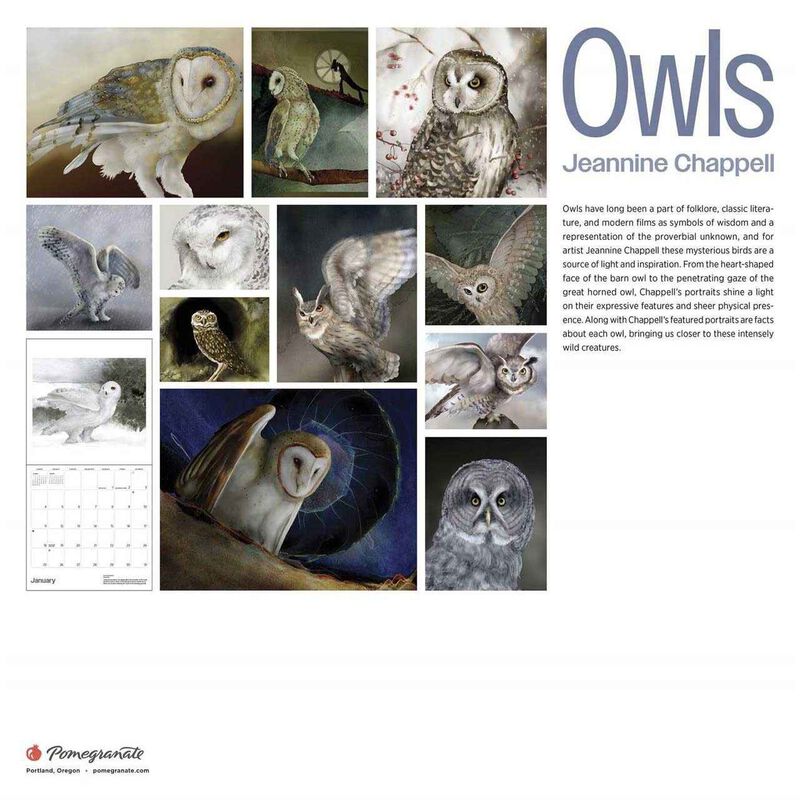 Pomegranate Owls 2026 Wall Calendar image number 2