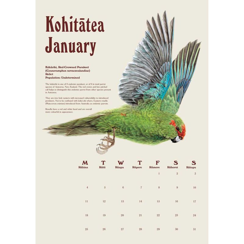 Erin Forsyth Wall Calendar 2027 image number 1