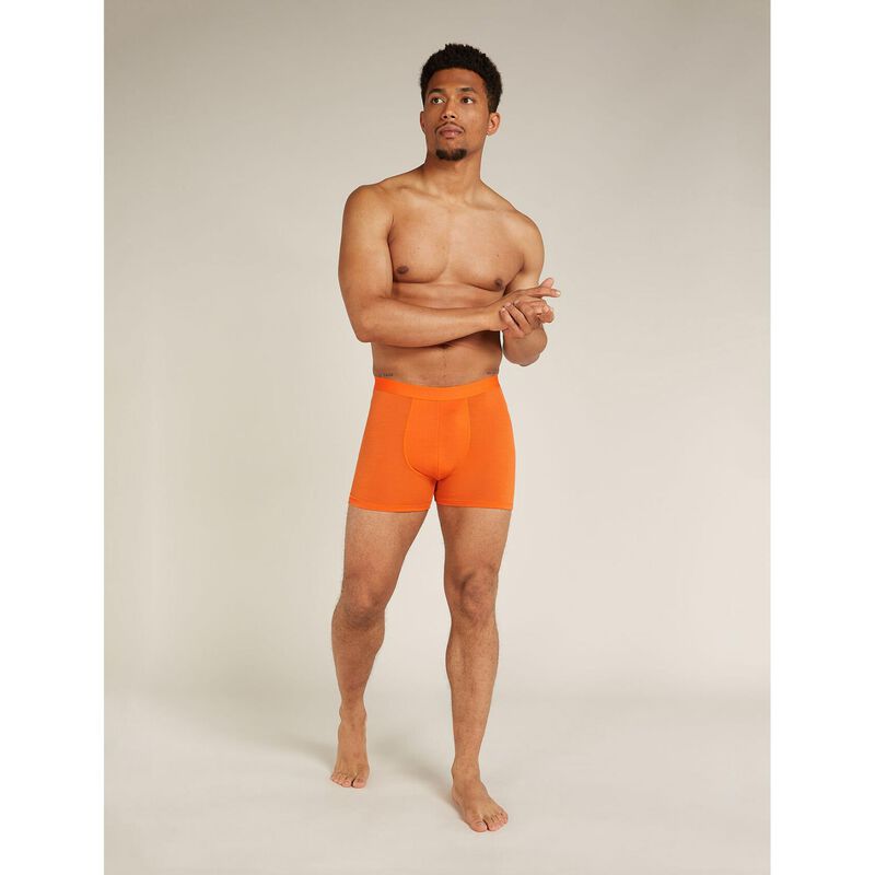 Icebreaker Mens Anatomica Boxers image number 18