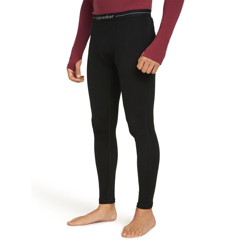 Icebreaker M 300 MerinoFine Polar Leggings image number 0