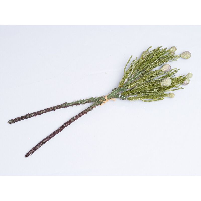 Pine Spray With Nut Bundle x2 image number 0