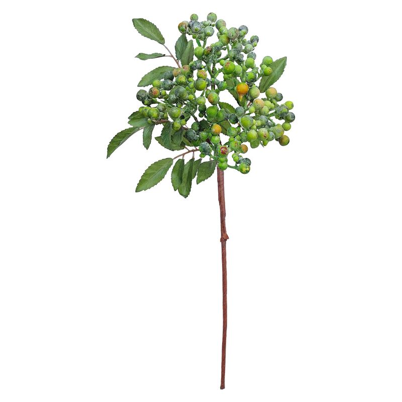 Pepper Berry Spray Natural 50cm image number 0