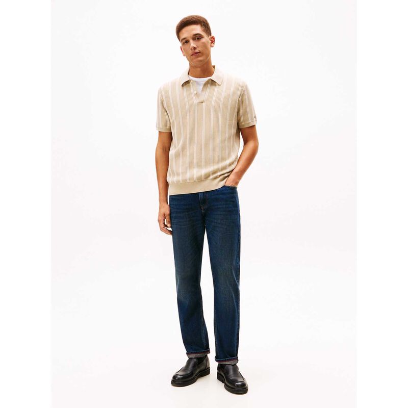 Tommy Hilfiger Knitted Vertical Stripe S/S Polo image number 3