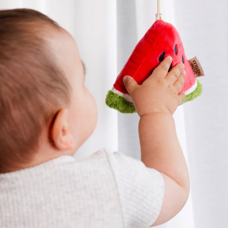 Living Textiles Plush Stroller Toy 2 Pack - Watermelon & Blueberry image number 1