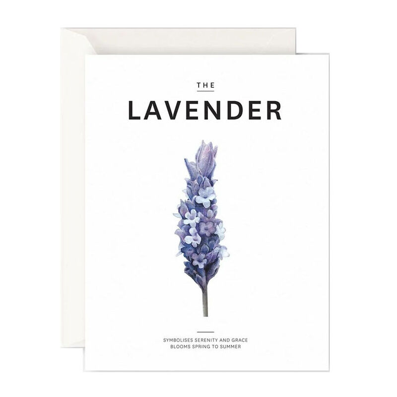 Father Rabbit Stationery The Lavender Card image number 0
