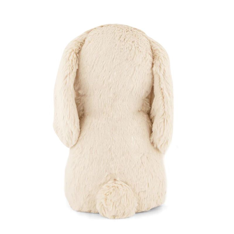 Snuggle Bunnies Frankie the Hugging Bunny image number 1