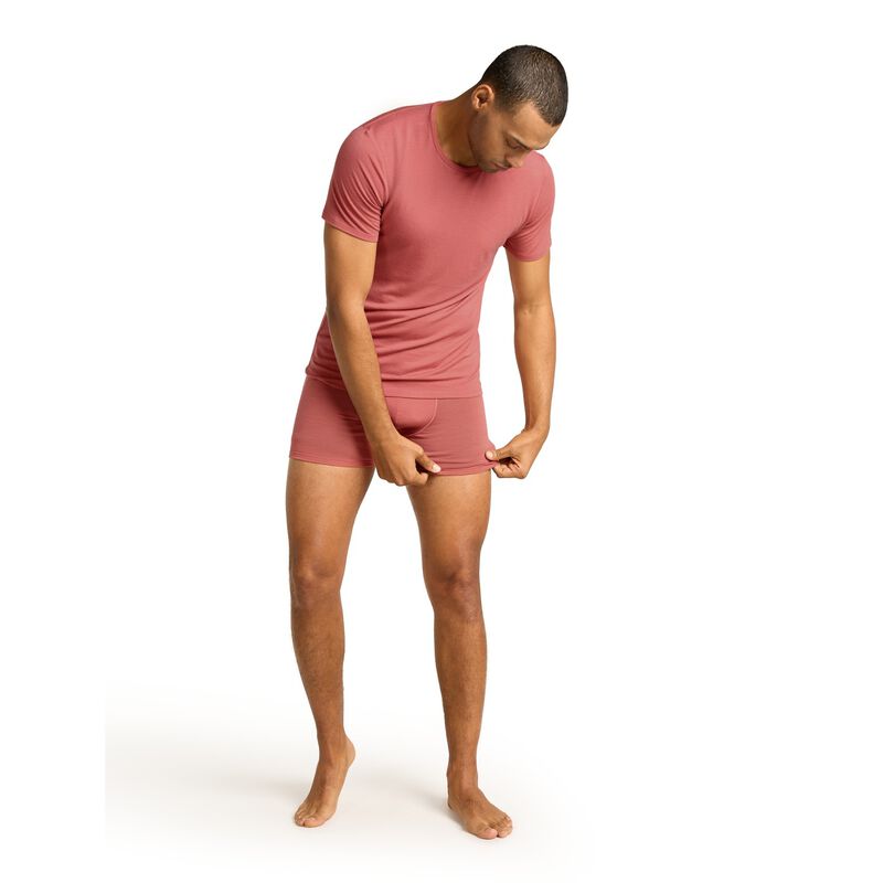 Icebreaker Mens Anatomica Boxers image number 24