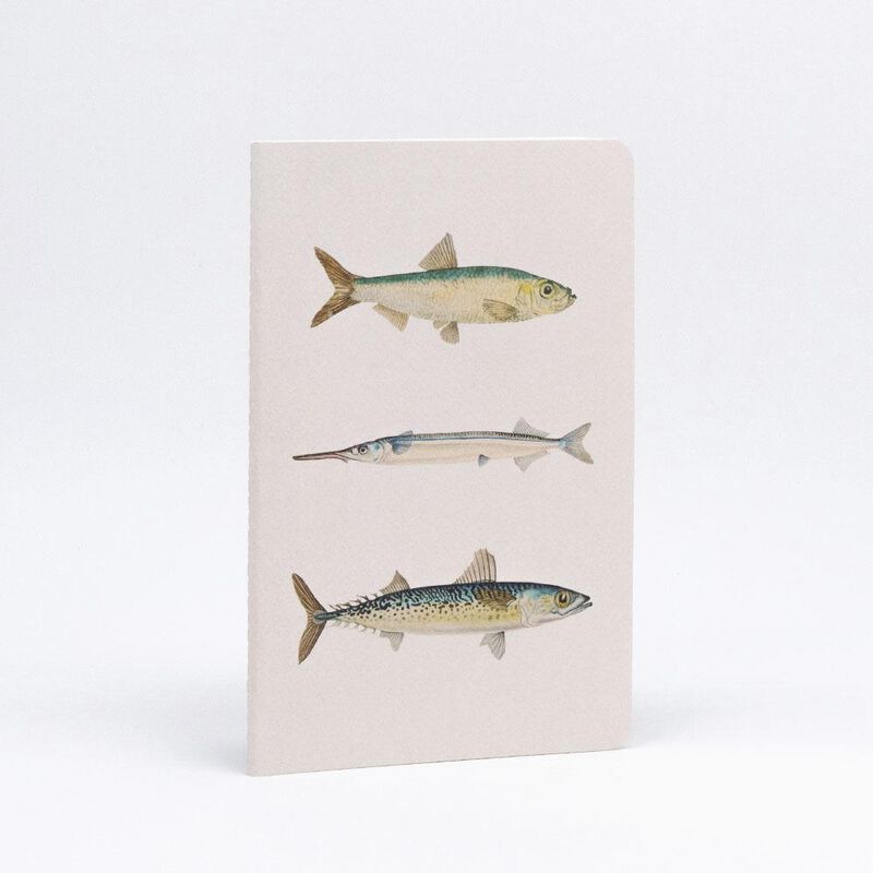 Fishes Of NZ Notebook Set image number 2