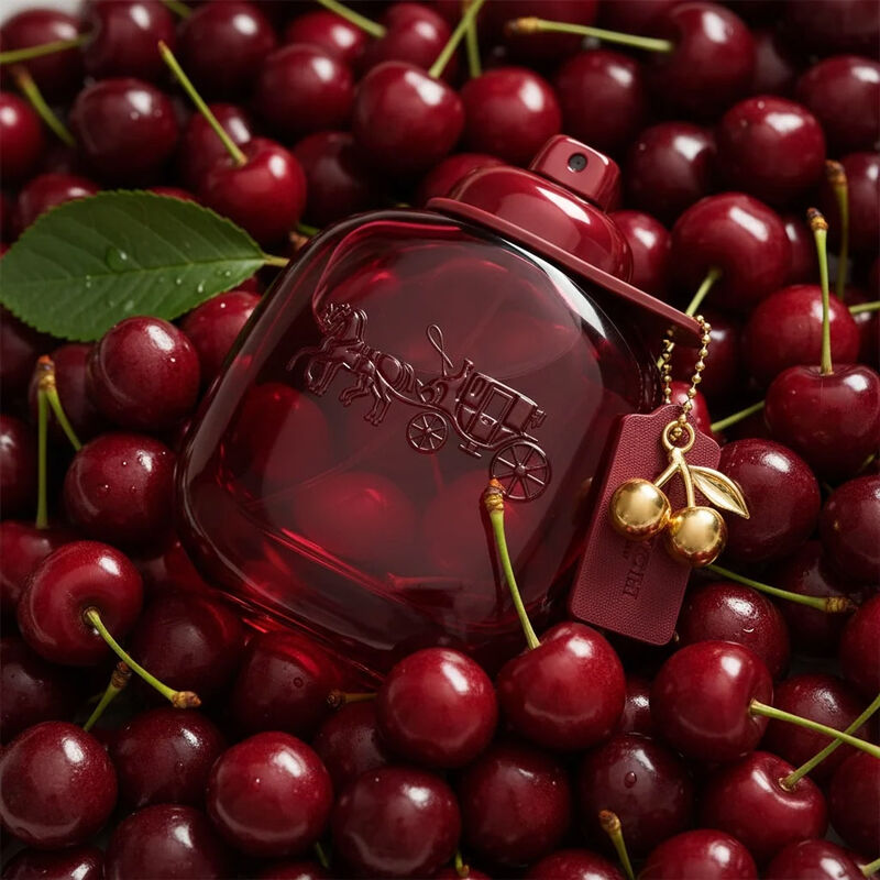 Coach Cherry Parfum 50ml image number 2