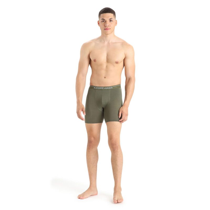 Icebreaker Mens Anatomica Long Boxers image number 6