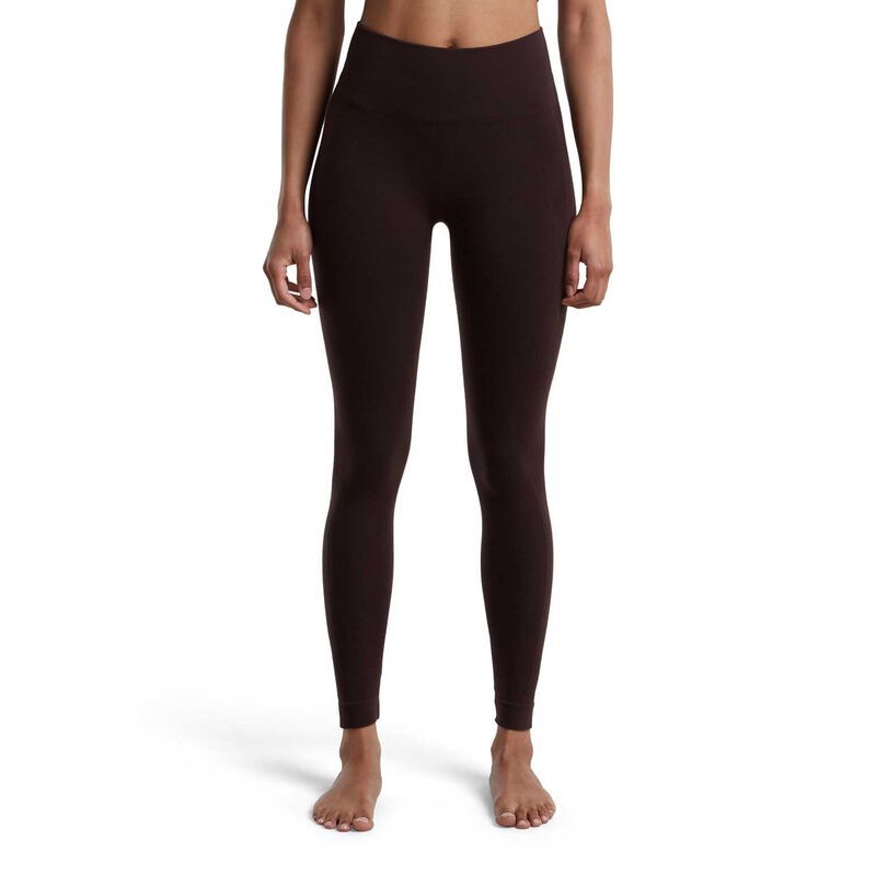 Icebreaker Womens Merino Seamless Active 25in Tights image number 14