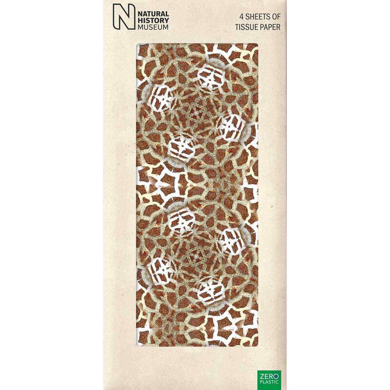 Museums & Galleries Giraffe Print Tissue Paper image number 0