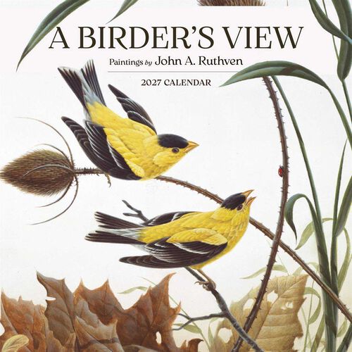 Pomegranate A Birders View Wall Calendar 2027