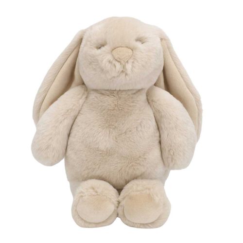 Lily & George Littlefoot Bunny