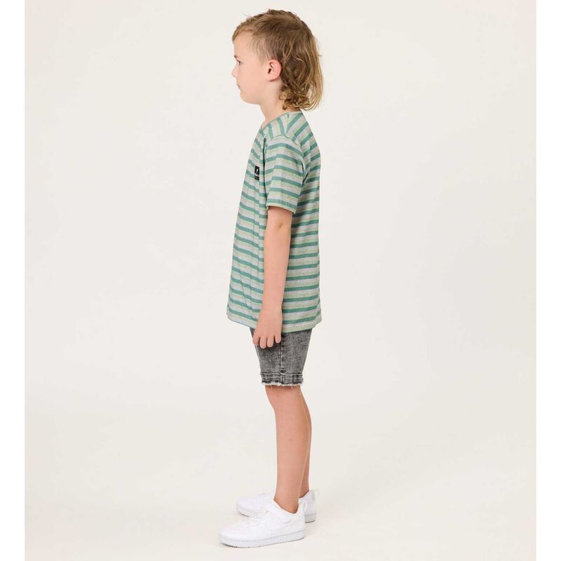 Radicool Dude Grasslands Stripe Tee image number 3