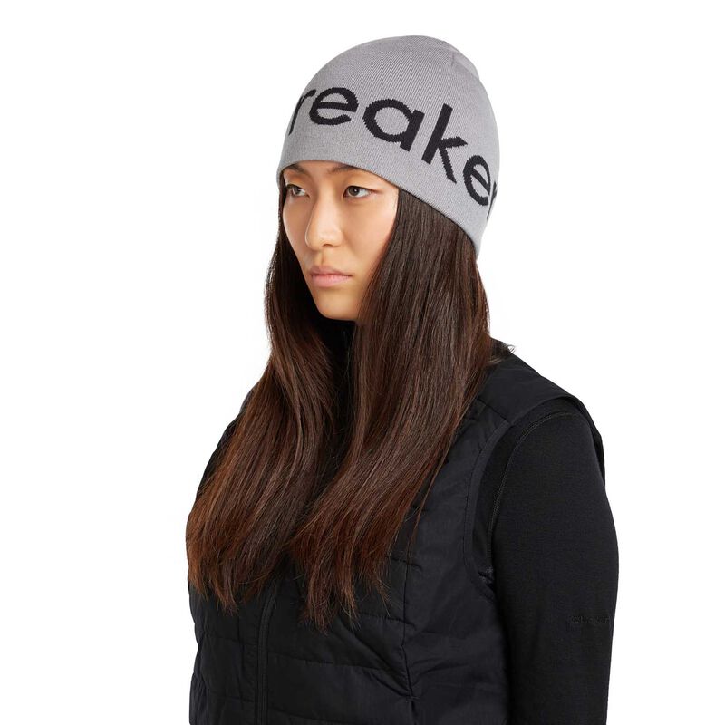 Icebreaker Unisex Merino Icebreaker Beanie image number 1