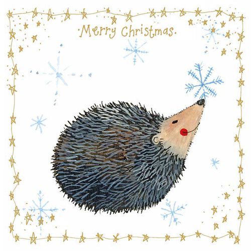 Alex Clark Christmas Hedgehog & Snowflake Box Of 10 Cards