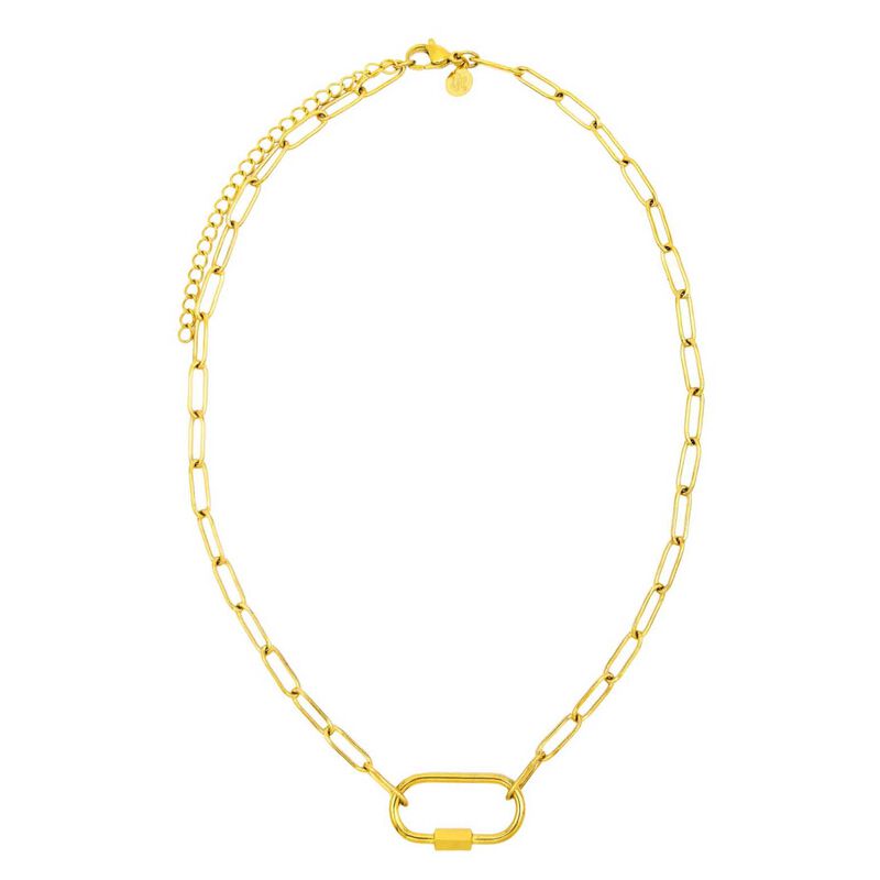 PETiT MOMENTS Carabiner Necklace Chain image number 0