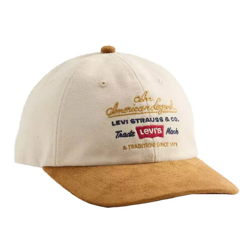 Levi's Relaxed Dad Graphic Cap