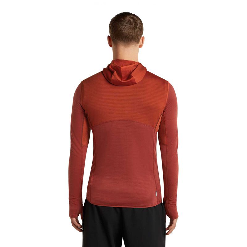 Icebreaker M Merino 200 RealFleece Descender LS Zip Hoodie image number 1