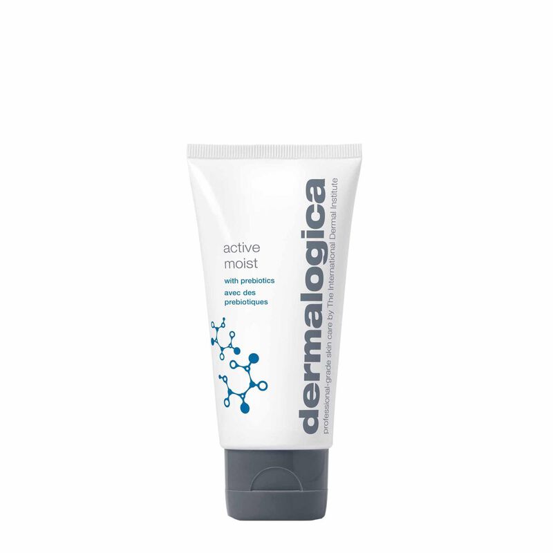 Dermalogica Active Moist 100ml image number 0