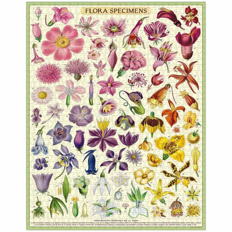 Cavallini Flora Specimens Vintage Puzzle 1000 Piece image number 1