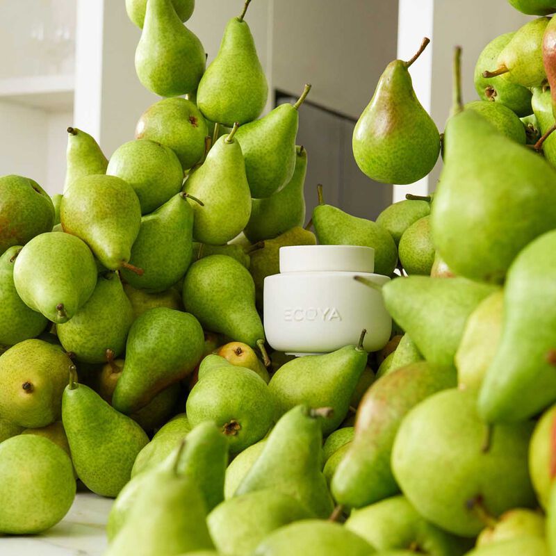 ECOYA Electric Wax Melter image number 2