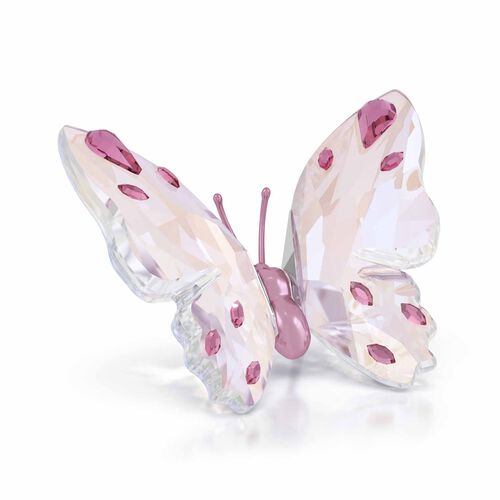 Swarovski Idyllia Butterfly - Small
