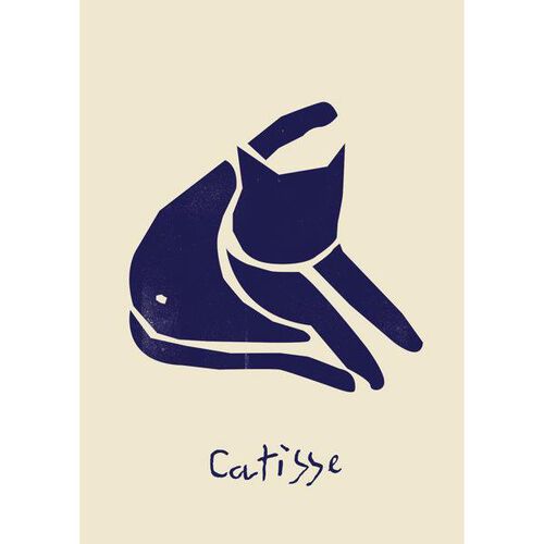 Catisse Blue Card